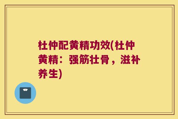杜仲配黄精功效(杜仲黄精：强筋壮骨，滋补养生)