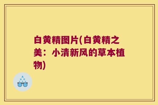 白黄精图片(白黄精之美:小清新风的草本植物) 白黄精图片(白黄精之美:小清新风的草本植物)